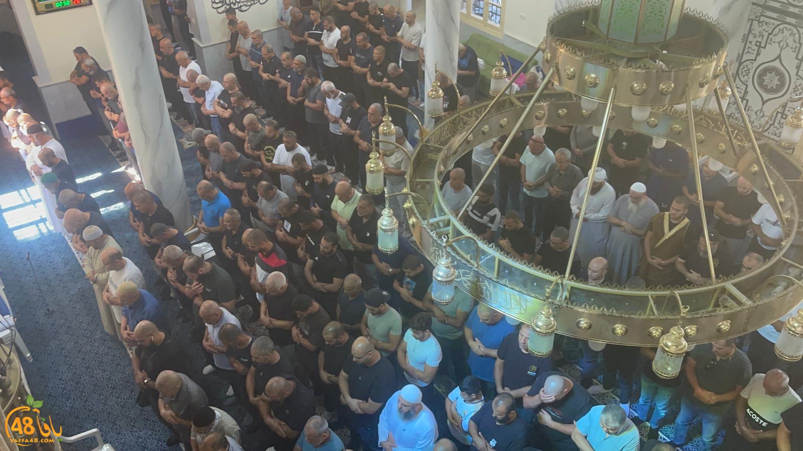 WhatsApp Image 2023-10-12 at 12.00.19 PM.jpeg